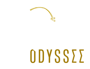 Logo Mixodyssée